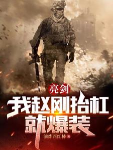 亮剑：我赵刚，抬杠就爆装